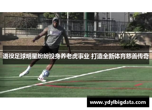 退役足球明星纷纷投身养老虎事业 打造全新体育慈善传奇