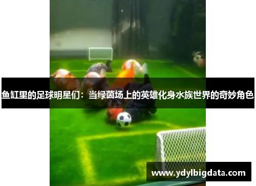 鱼缸里的足球明星们：当绿茵场上的英雄化身水族世界的奇妙角色