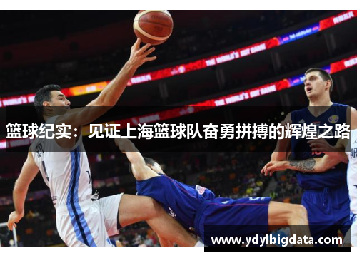 篮球纪实：见证上海篮球队奋勇拼搏的辉煌之路