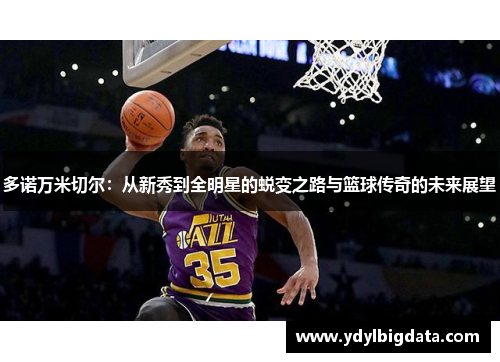 多诺万米切尔：从新秀到全明星的蜕变之路与篮球传奇的未来展望