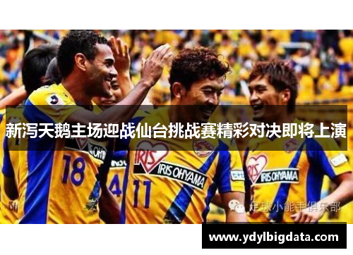 新泻天鹅主场迎战仙台挑战赛精彩对决即将上演